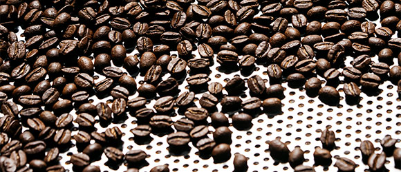Cómo elegir un buen café: guía completa para acertar siempre 1 Cómo elegir un buen café: guía completa para acertar siempre