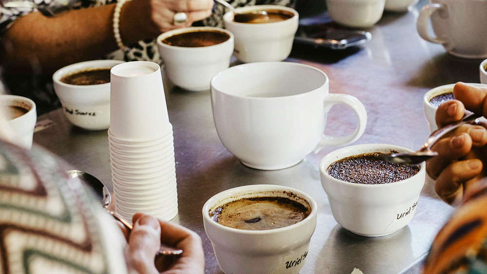 Cómo organizar una cata de café en casa paso a paso